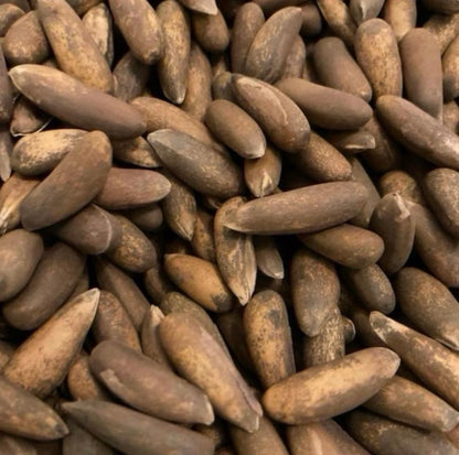 Premium Afghan Pine Nuts – 100% Authentic Chilgoza