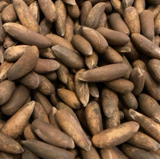 Premium Afghan Pine Nuts – 100% Authentic Chilgoza