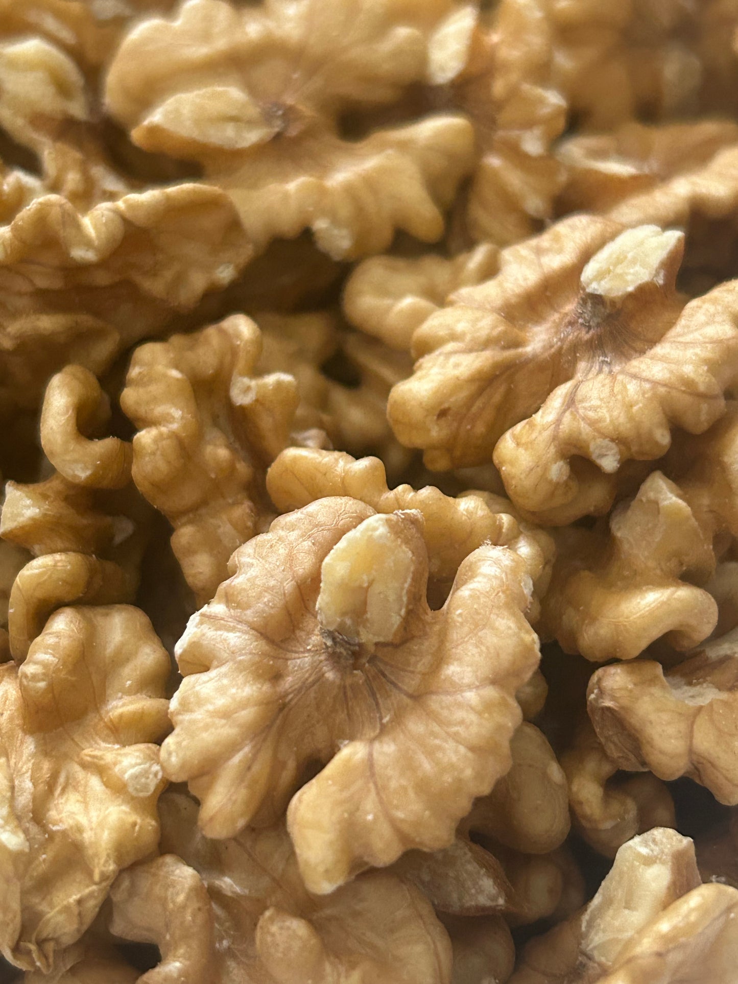 Premium Chilean Walnuts (Fresh & High Quality)