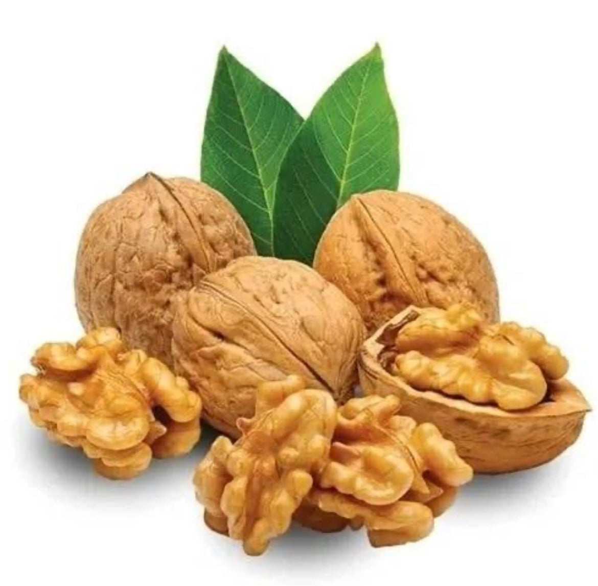 Premium Chilean Walnuts (Fresh & High Quality)