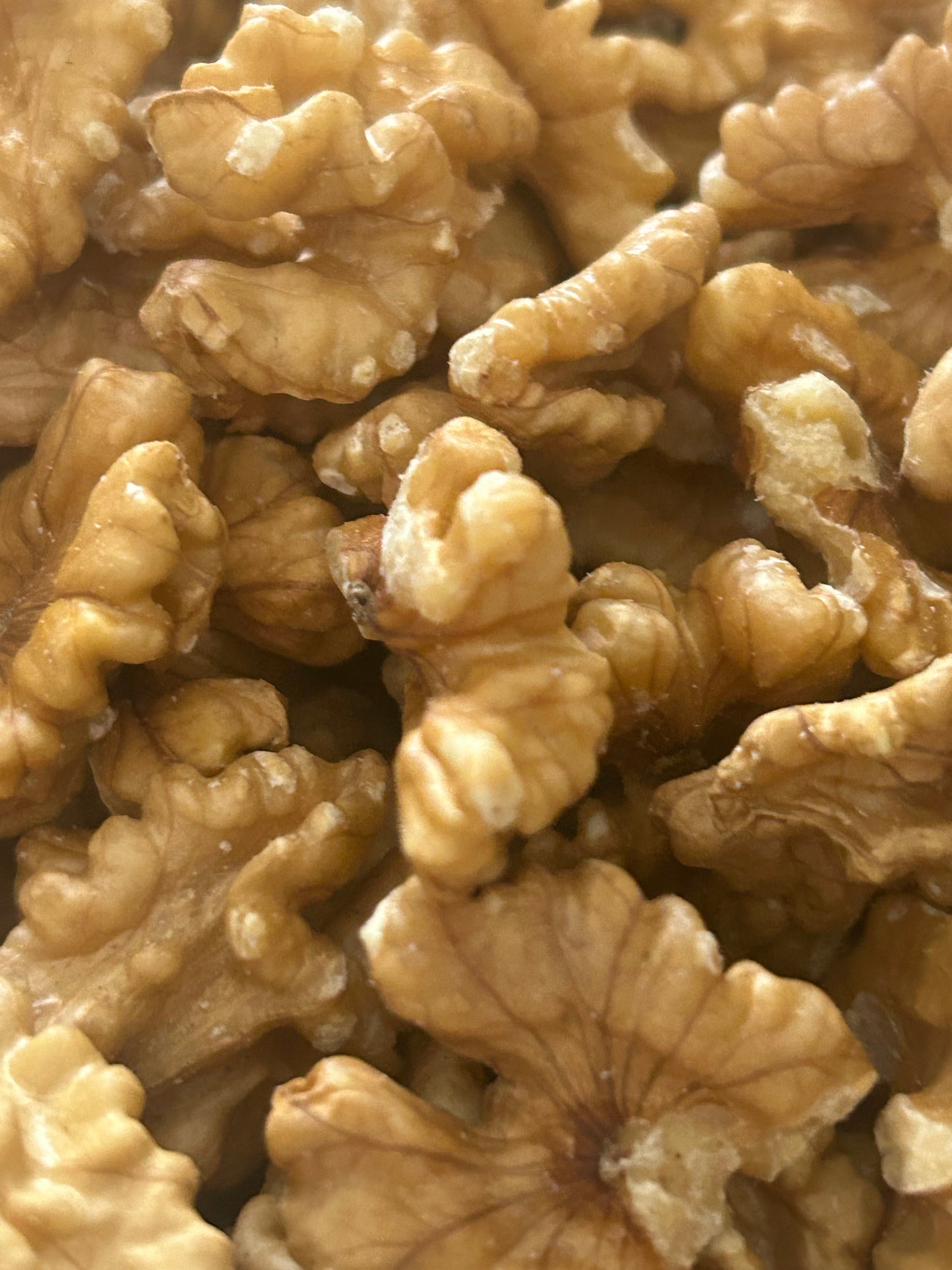 Premium Chilean Walnuts (Fresh & High Quality)