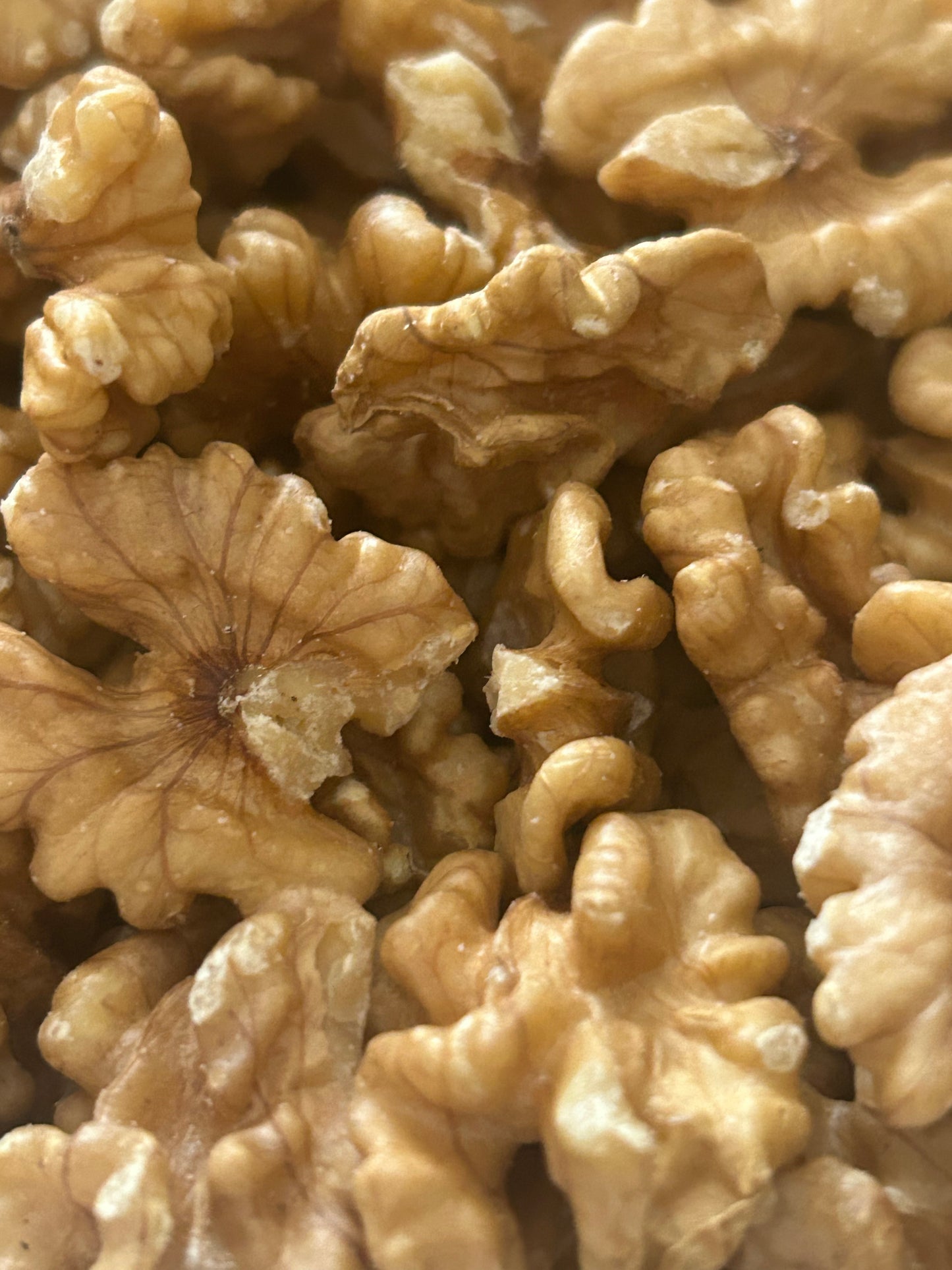 Premium Chilean Walnuts (Fresh & High Quality)